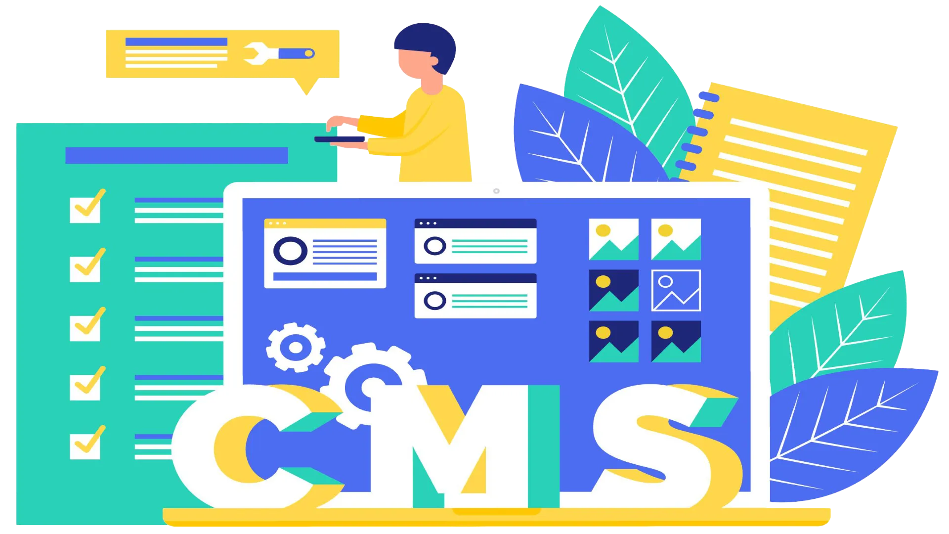 CMS Solutions